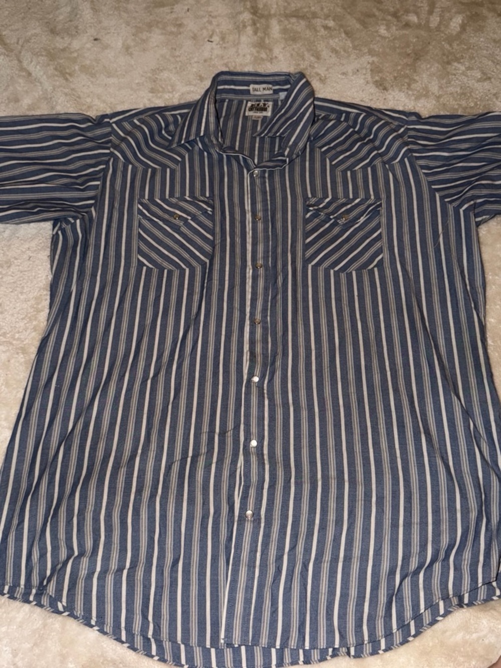 Ely Cattleman Blue and White Striped Casual Button-Down Shirt